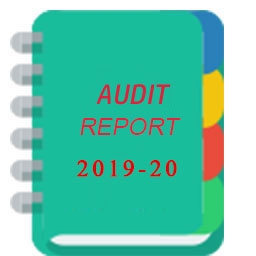 Audit Report