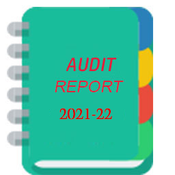 Audit Report